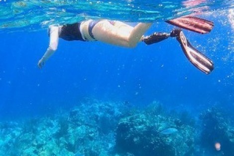 Review img # 19 of the yacht DRAGONFLY