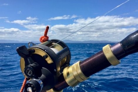 Review img # 40 of the yacht ELVIS MAGIC