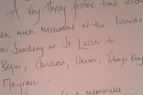 Review img # 19 of the yacht The Blue Dream